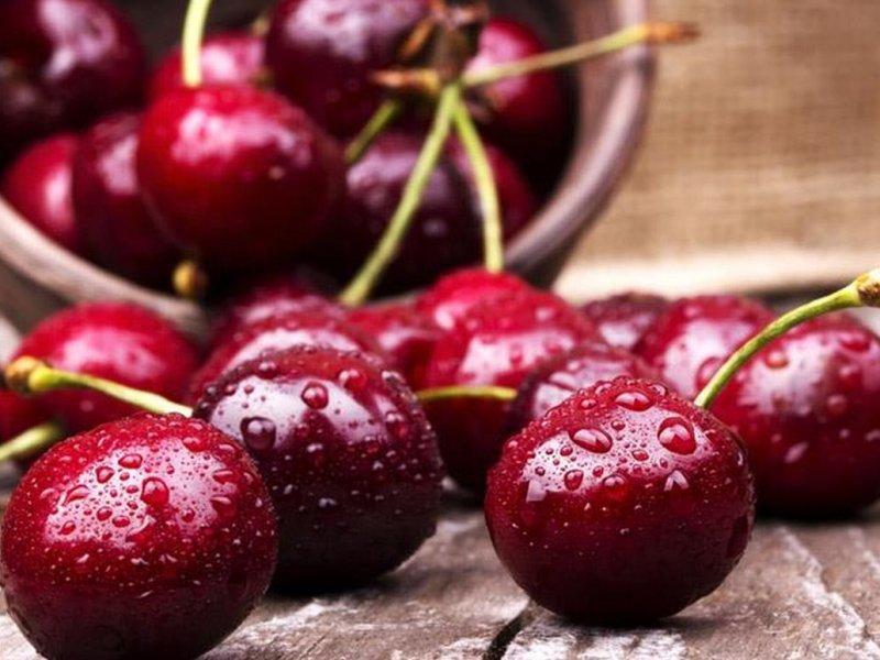 Вишня купить саженцы из питомника в Невинномысске